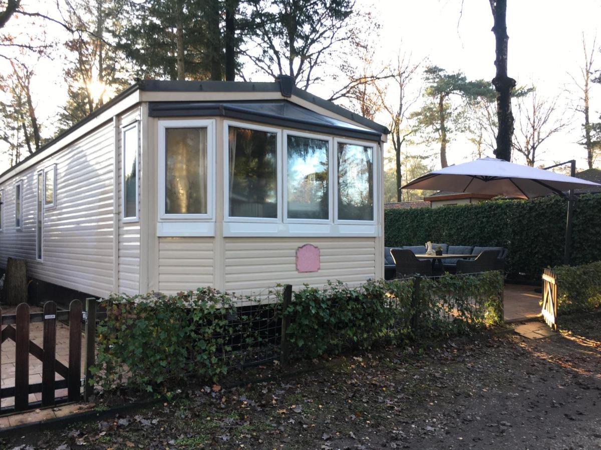 Prachtige Luxe Chalet Op De Veluwe Nabij Hoenderloo Villa Esterno foto